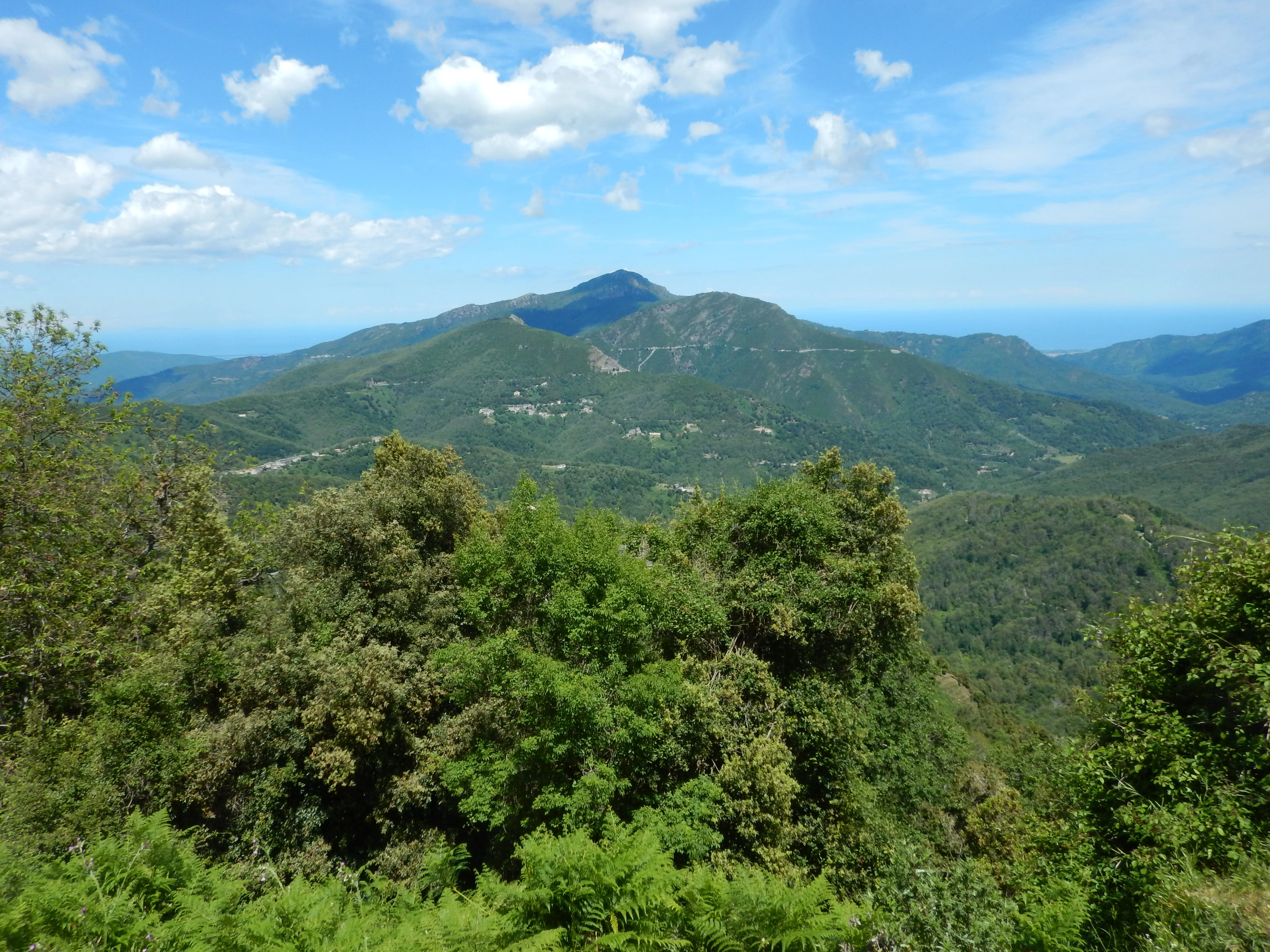 La Castagniccia vue depuis le Col de Prato, forêt de châtaigniers, Haute-Corse